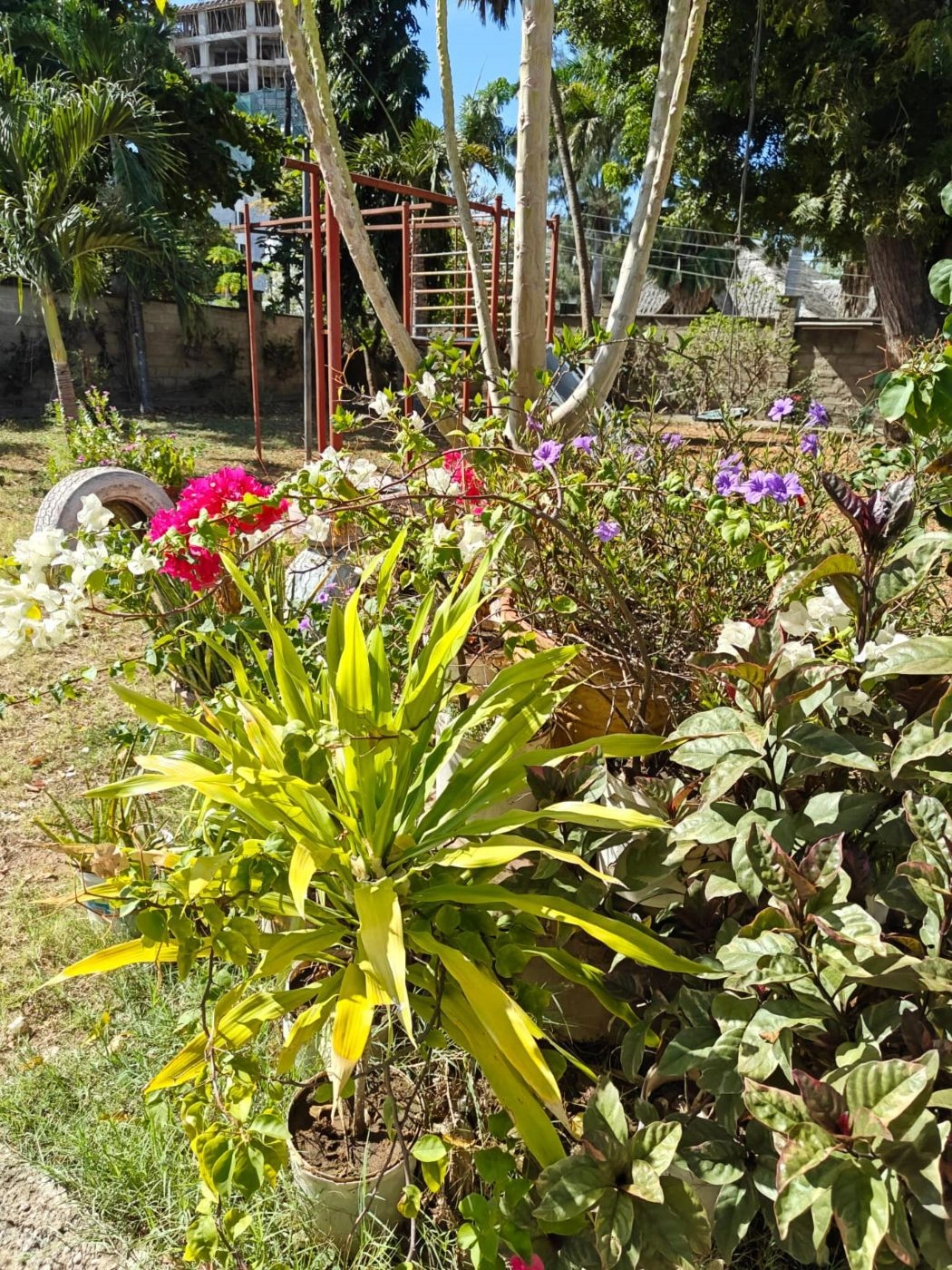 肯尼亚蒙巴萨的舒适 5+1 住宅