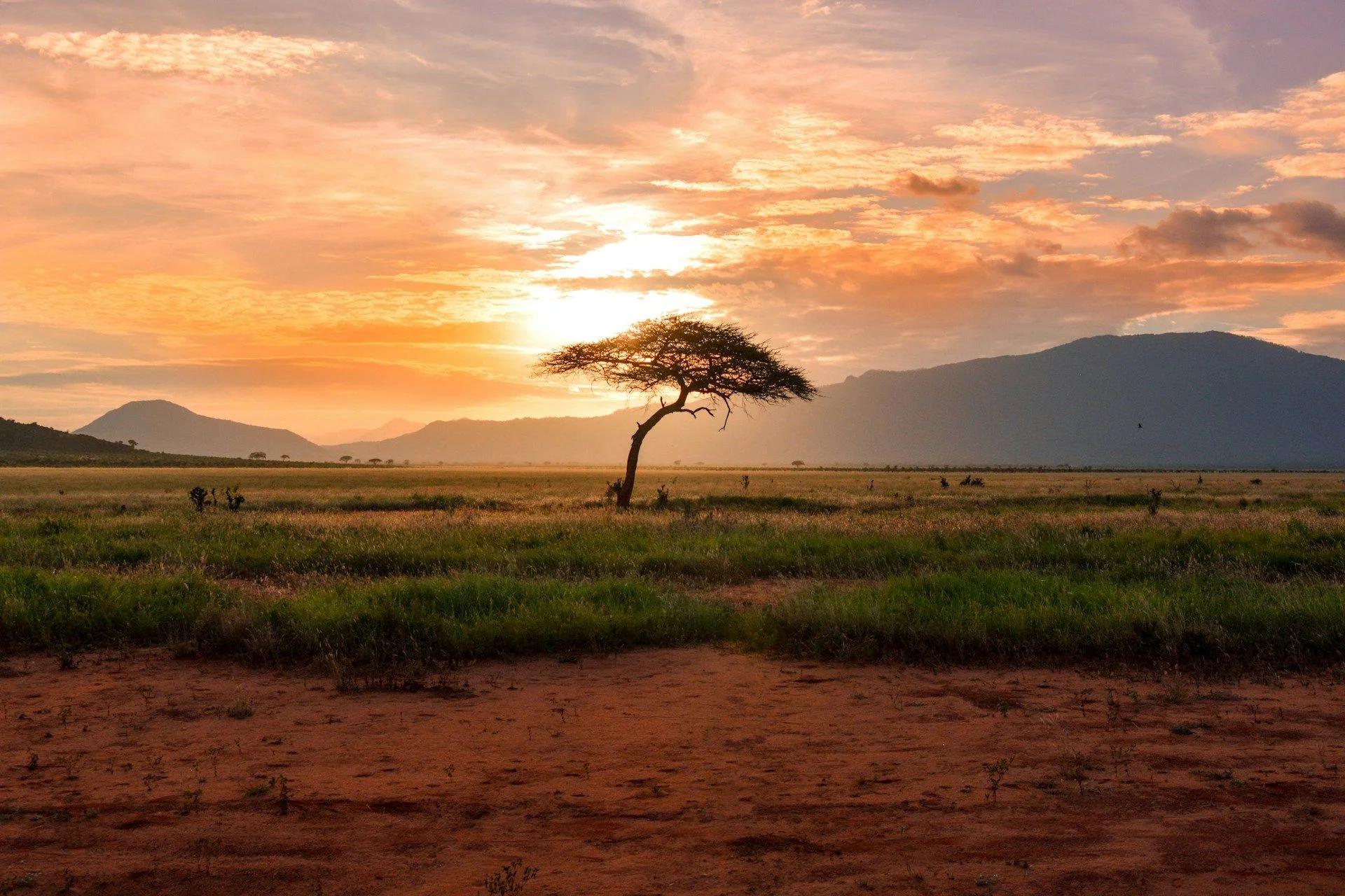 Tour operator ecologico in Kenya – Opzioni di viaggio sostenibile | VelesClub Int.