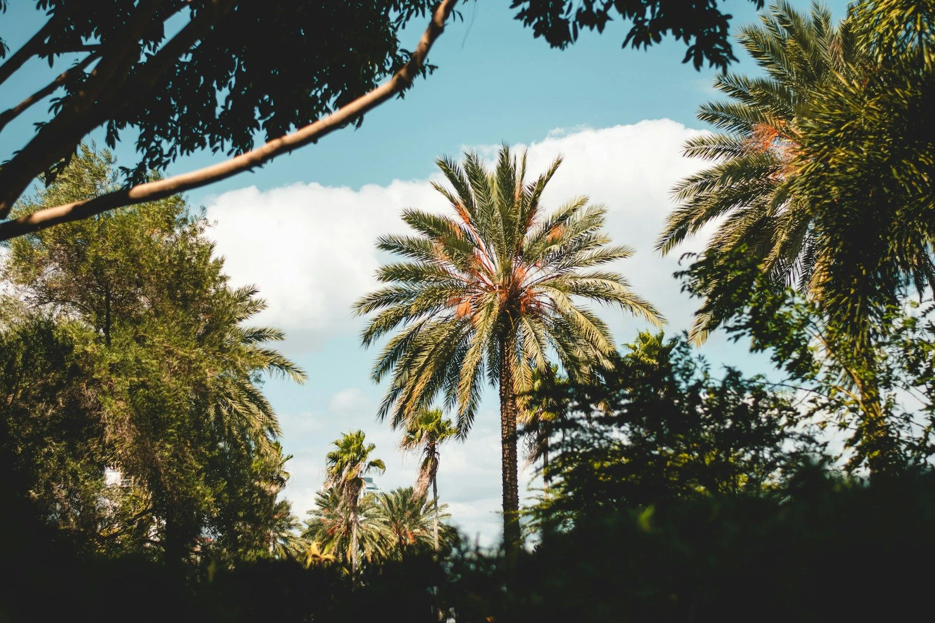 Biens à vendre aux Comores — annonces FSBO | VelesClub Int.