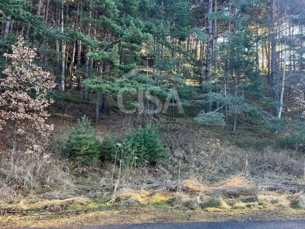 Grundstück 601 m² in ruhiger Lage in La Massana, Andorra