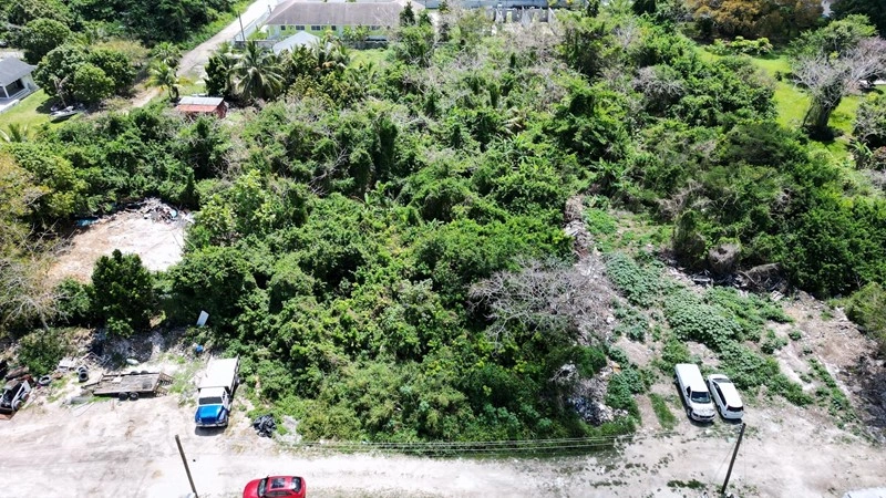 巴哈马拿骚 590 m2 地块