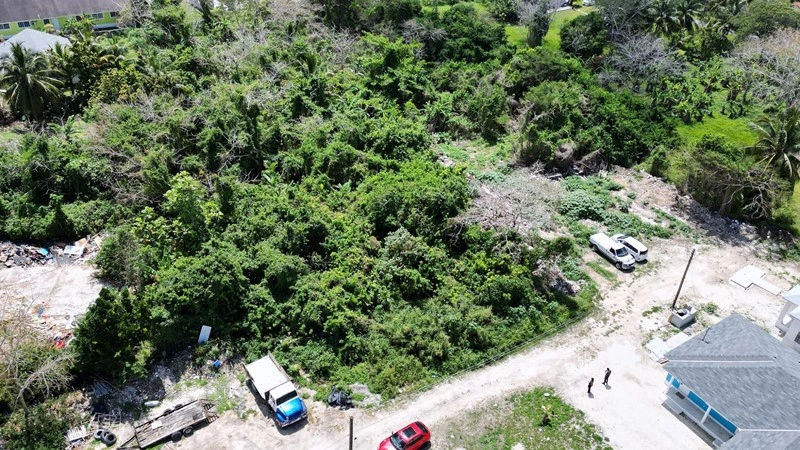 巴哈马拿骚 590 m2 地块