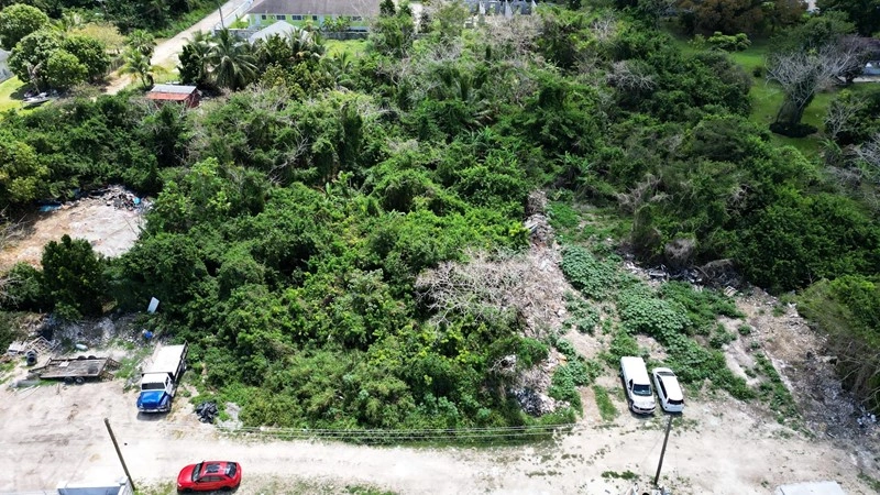 巴哈马拿骚 590 m2 地块