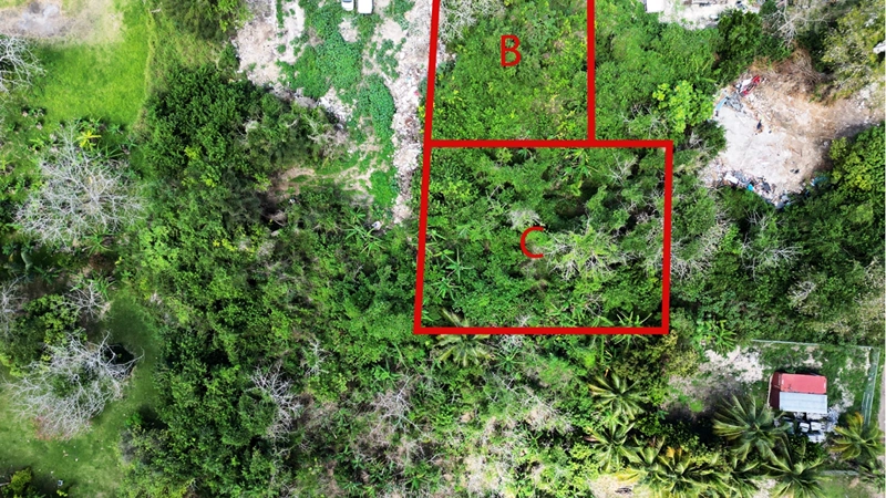 巴哈马拿骚 590 m2 地块