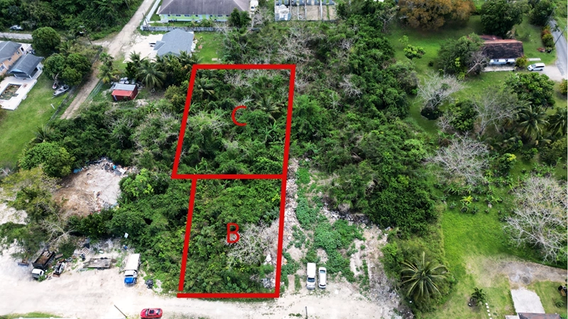 Land plot of 624 m2 in Nassau, Bahamas