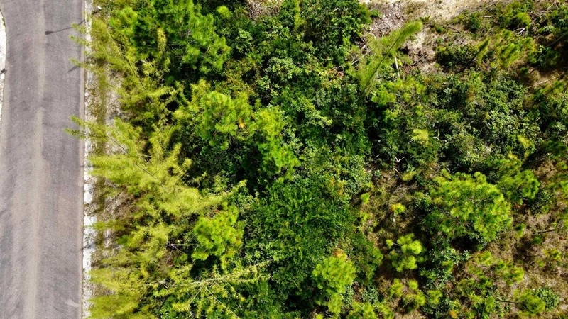 Parcela de terreno de 2787 m2 en Nassau, Bahamas