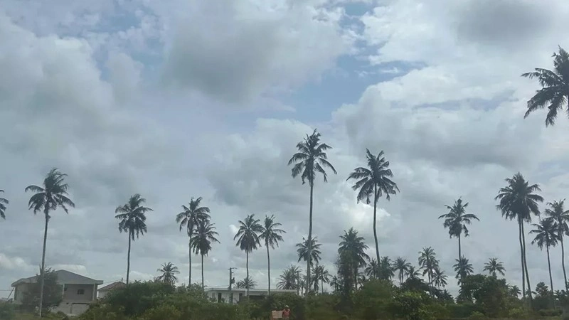 Terrain de 423 m2 à Abidjan, Côte d'Ivoire