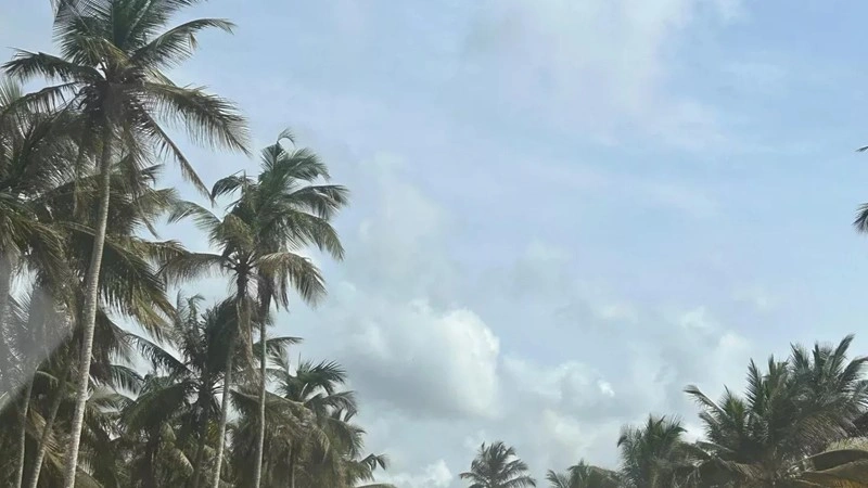 Terrain de 423 m2 à Abidjan, Côte d'Ivoire