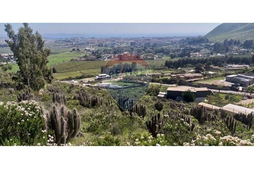 智利拉塞雷纳的2500 m2漂亮地块