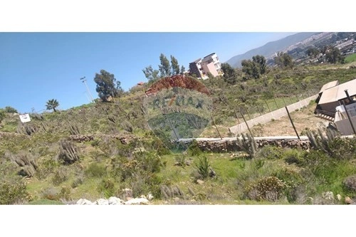 智利拉塞雷纳的2500 m2漂亮地块