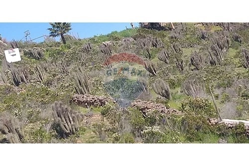 智利拉塞雷纳的2500 m2漂亮地块