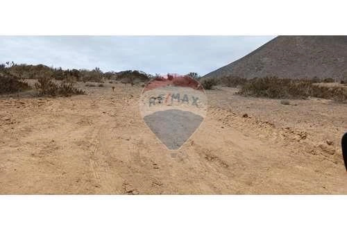 智利拉塞雷纳 5000 m2 潜力地块