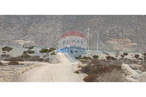 智利拉塞雷纳 5000 m2 潜力地块