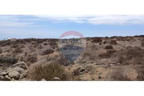 智利拉塞雷纳 5000 m2 潜力地块