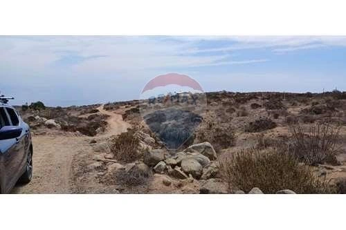 智利拉塞雷纳 5000 m2 潜力地块