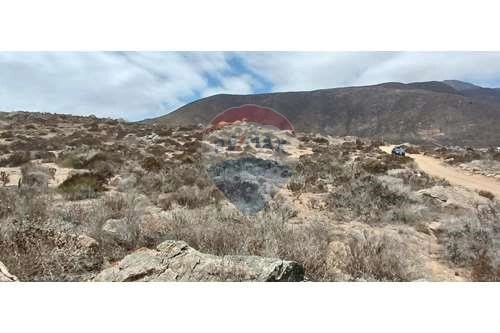 智利拉塞雷纳 5000 m2 潜力地块