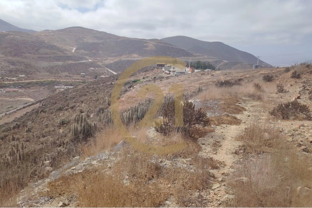 智利拉塞雷纳 5009 m2 宽敞地块