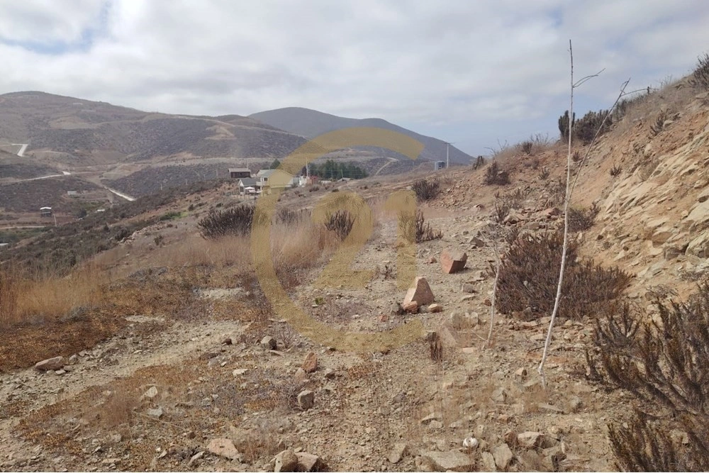 智利拉塞雷纳 5009 m2 宽敞地块