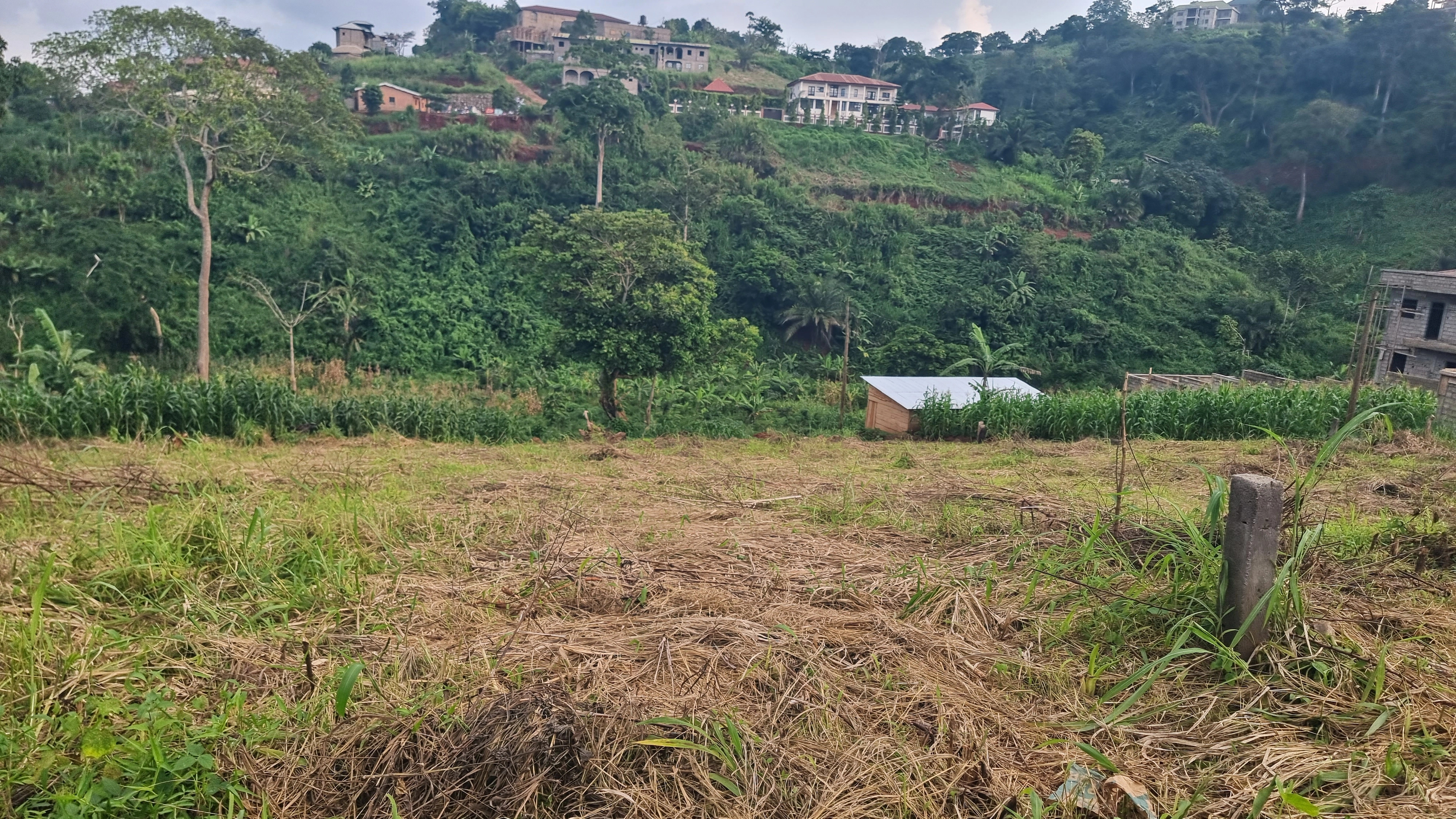 喀麦隆雅温得1000 m2地块