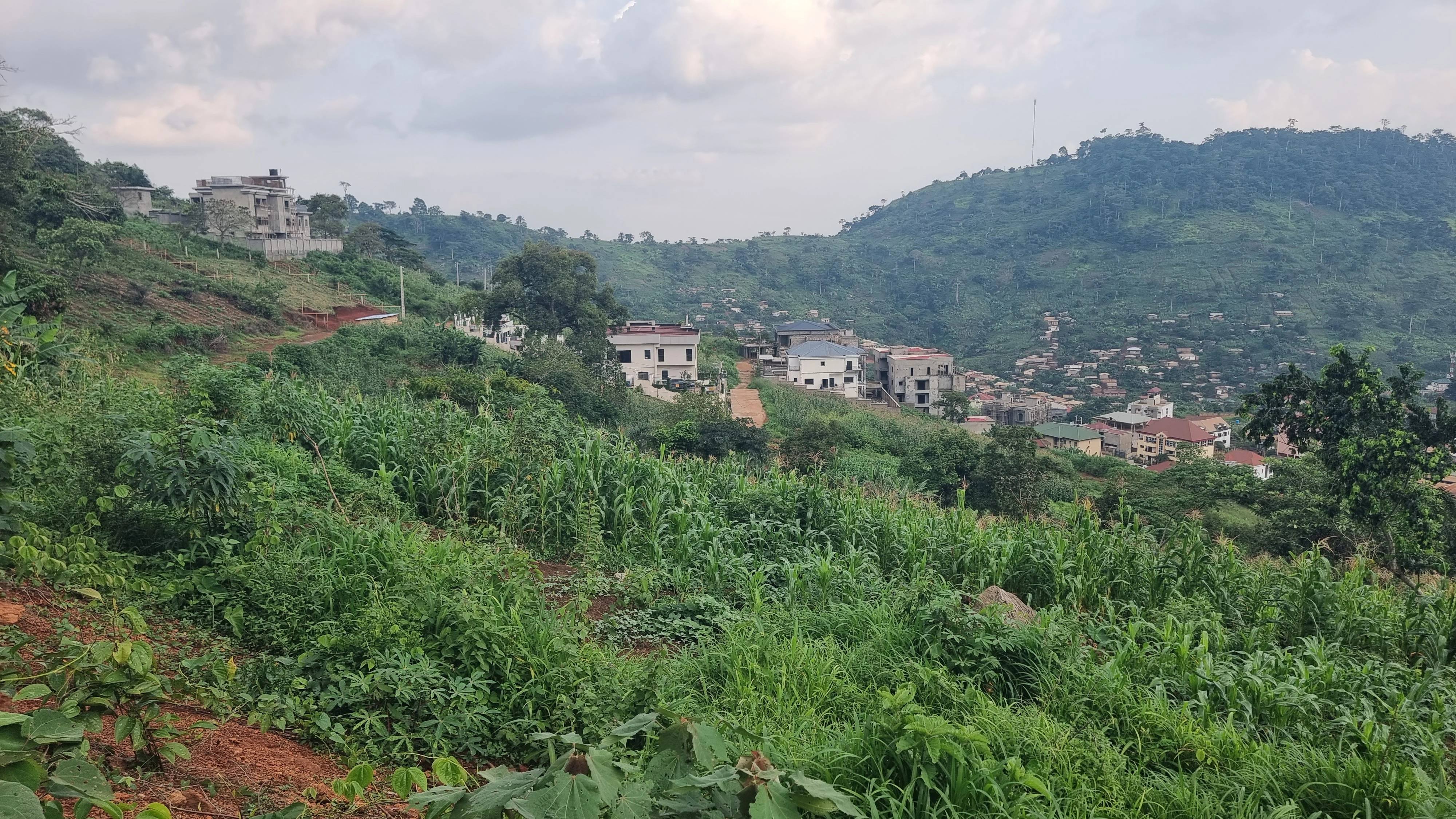 喀麦隆雅温得 5000 m2 土地