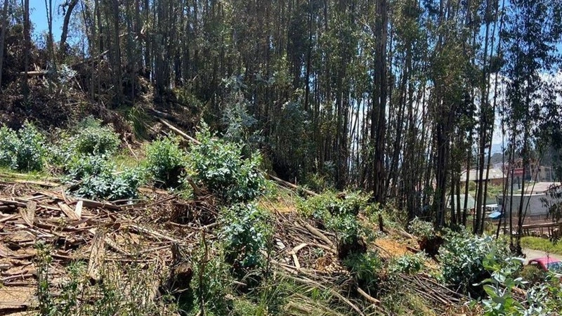厄瓜多尔昆卡 1759 m2 地块