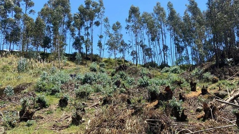 厄瓜多尔昆卡 1759 m2 地块