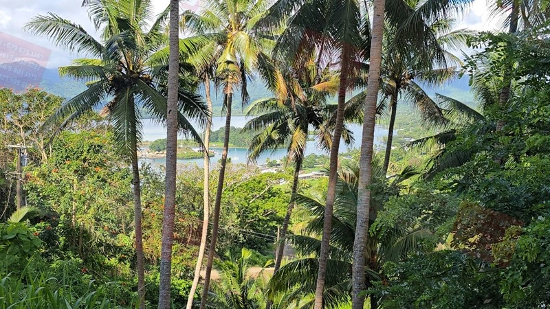 斐济萨武萨武地块,面积 8659 m2