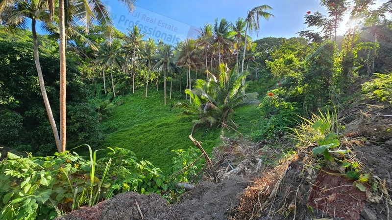 斐济萨武萨武地块,面积 8659 m2