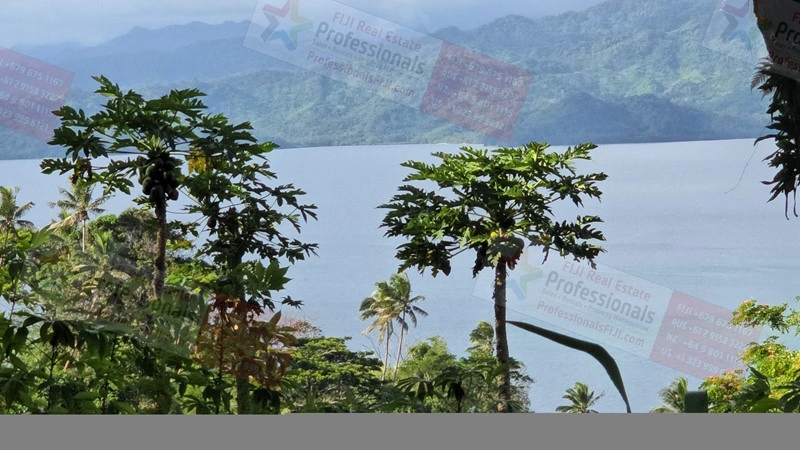 斐济萨武萨武地块,面积 8659 m2