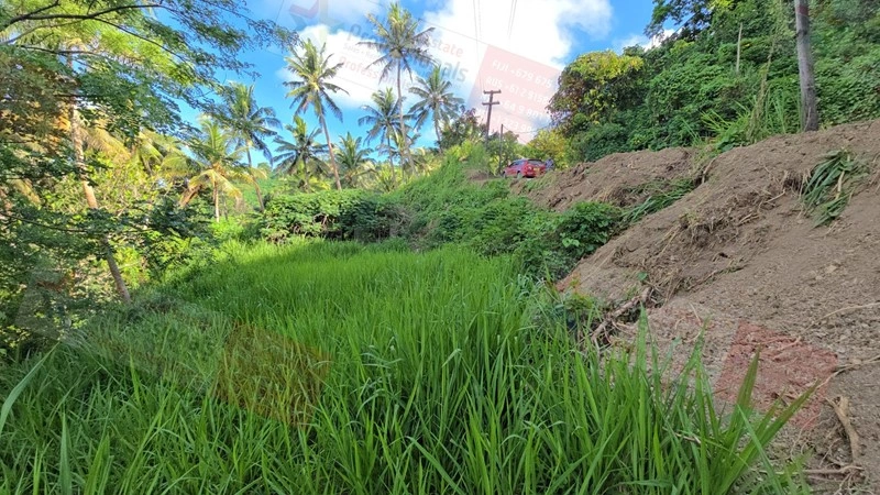 斐济萨武萨武地块,面积 8659 m2