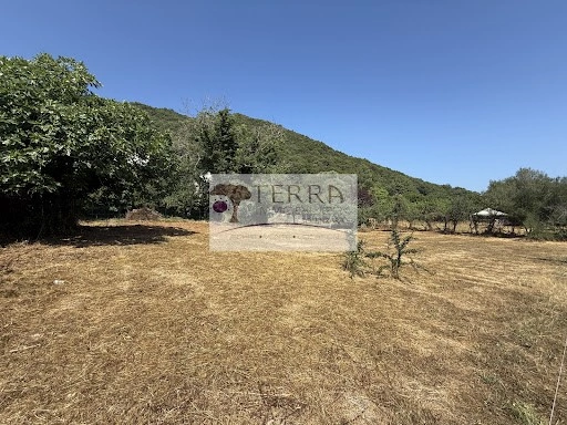 Land plot 1050 m² in Corsica, France