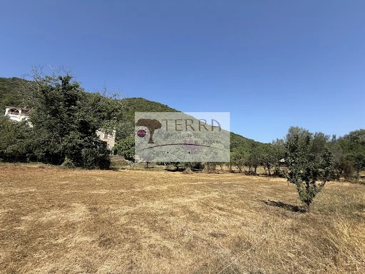 Land plot 1050 m² in Corsica, France