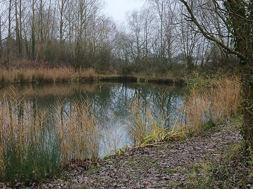 Land plot 3141 m² in Lille, France