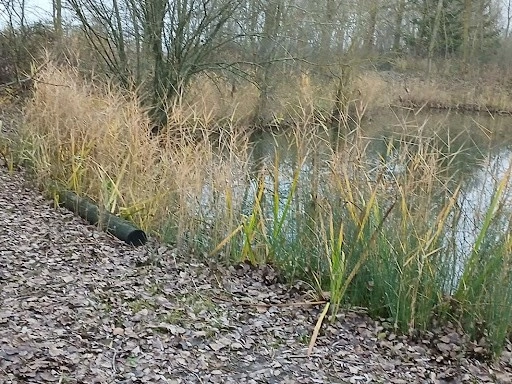 Land plot 3141 m² in Lille, France