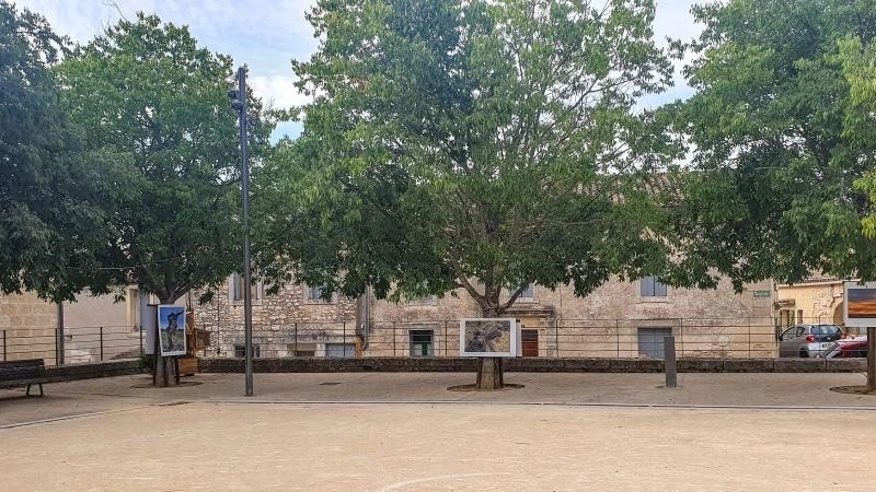 Земельный участок 481 м² в Монпелье, Франция