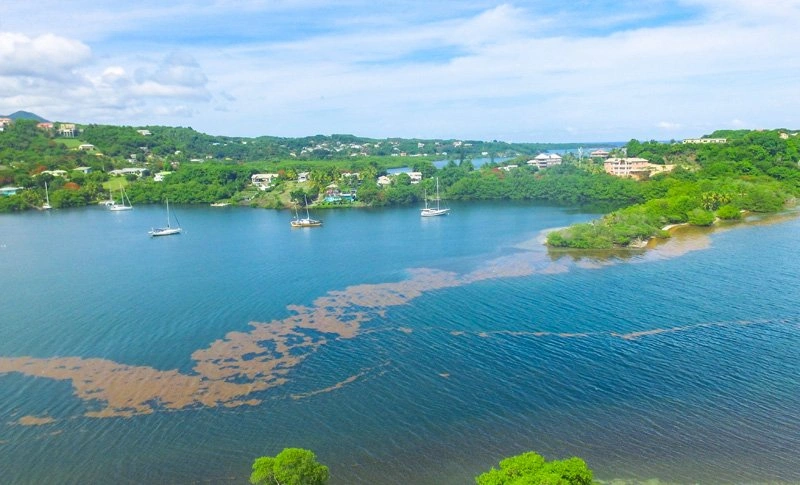 Grundstück 2474 m2 für den Bau eines Hotels in St. George's, Grenada