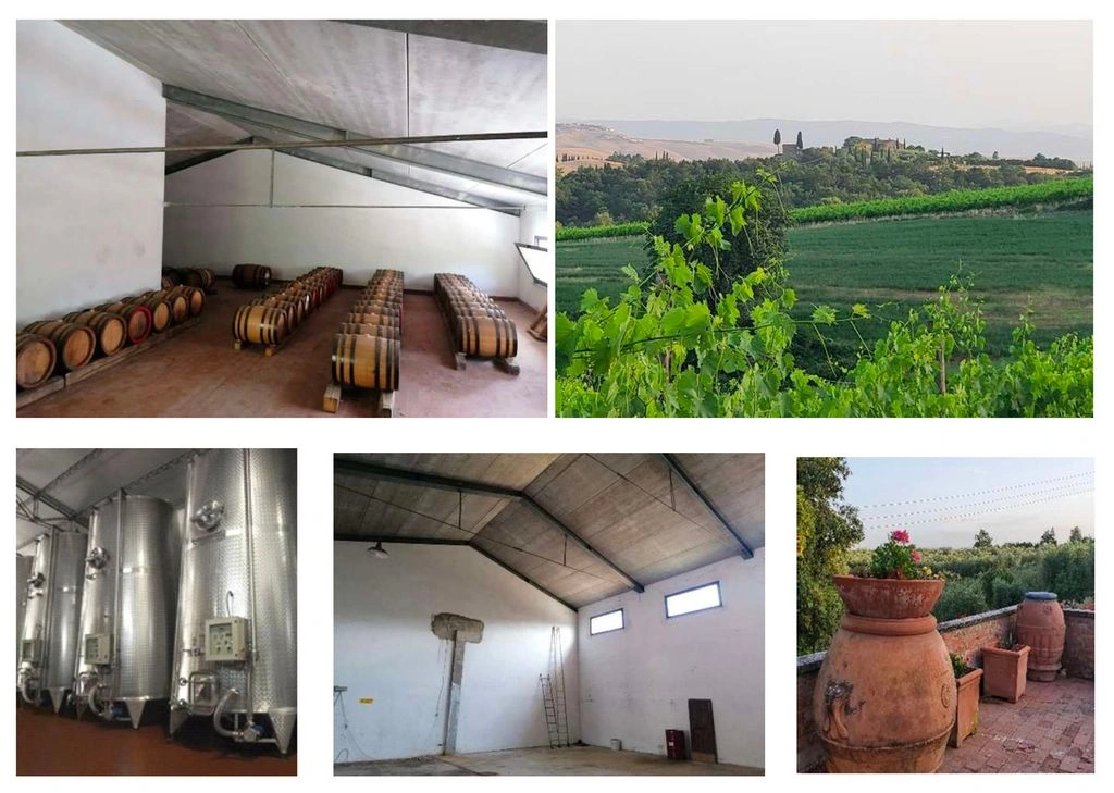 意大利托斯卡纳的葡萄园与酒窖庄园