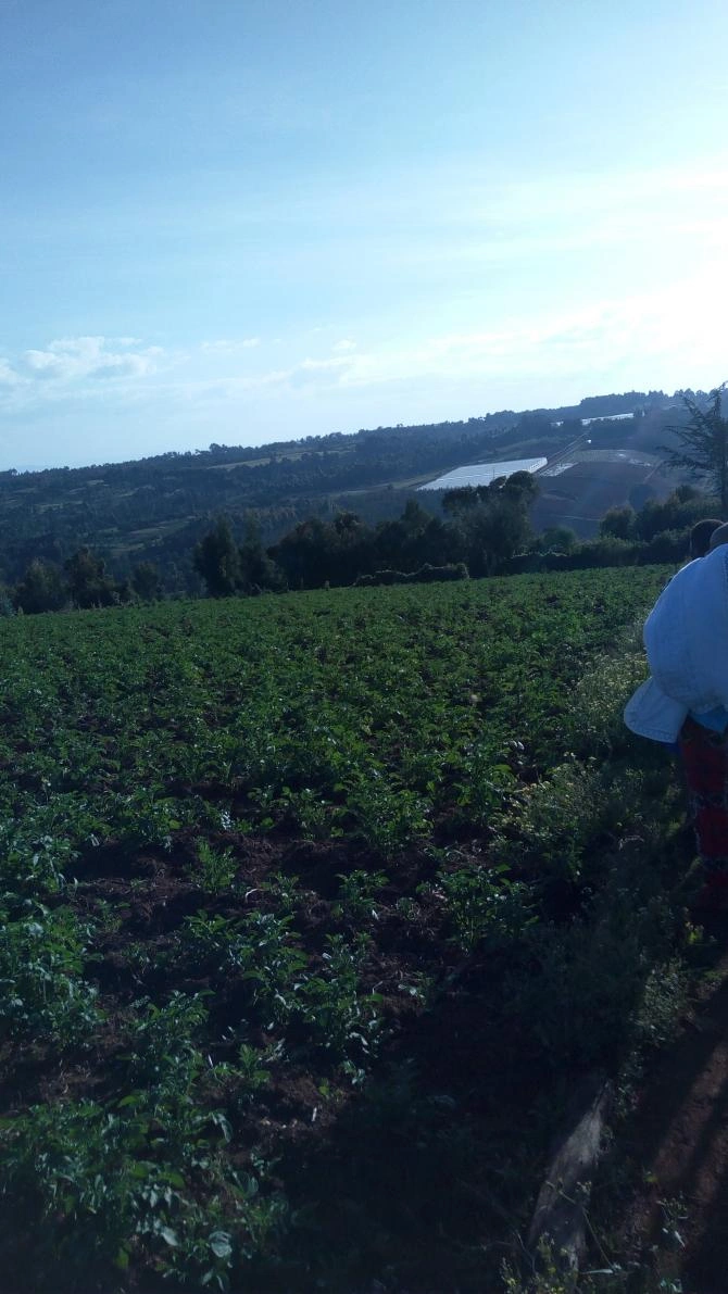 Roadside plot 20200 m2 for residential or private development in Nakuru