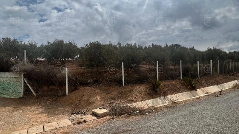 摩洛哥拉巴特-萨雷-特梅拉的15000平方米地块