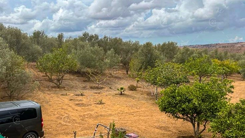 摩洛哥拉巴特-萨雷-特梅拉的15000平方米地块