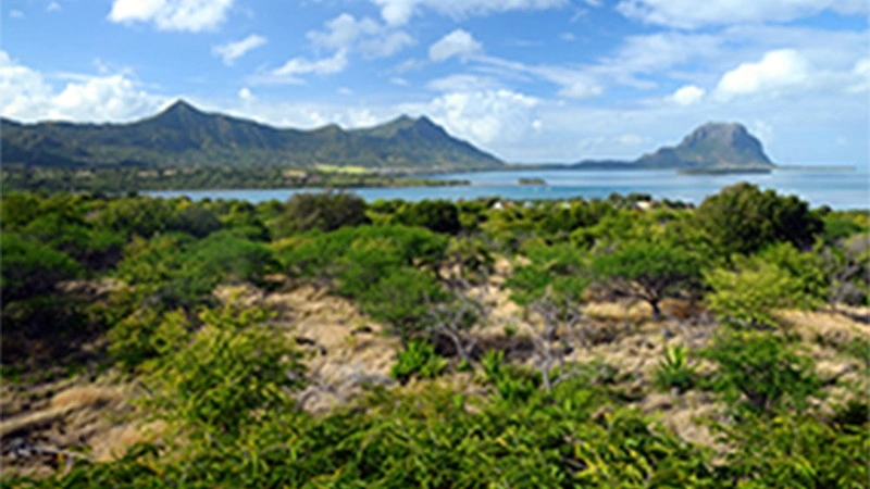 Terreno 1712 m² em Grand Riviere Noir, Ilhas Maurício