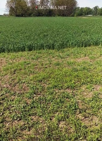 在贝尔格莱德,塞尔维亚有一块7700平方米的建筑用地