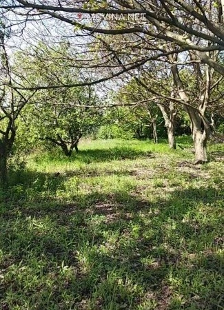 在贝尔格莱德,塞尔维亚有一块7700平方米的建筑用地