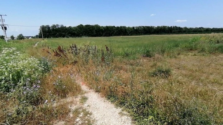 Земельный участок для застройки в районе Батаjnica, Белград, Сербия
