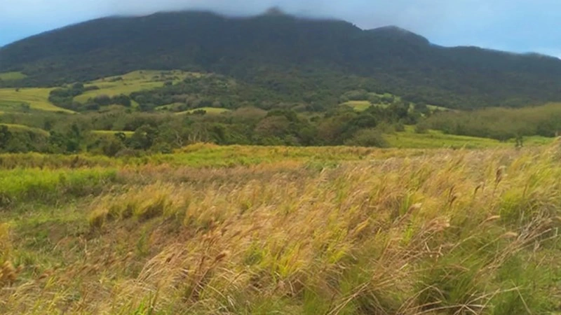 巴斯特尔(圣基茨和尼维斯)山坡地,470 平方米