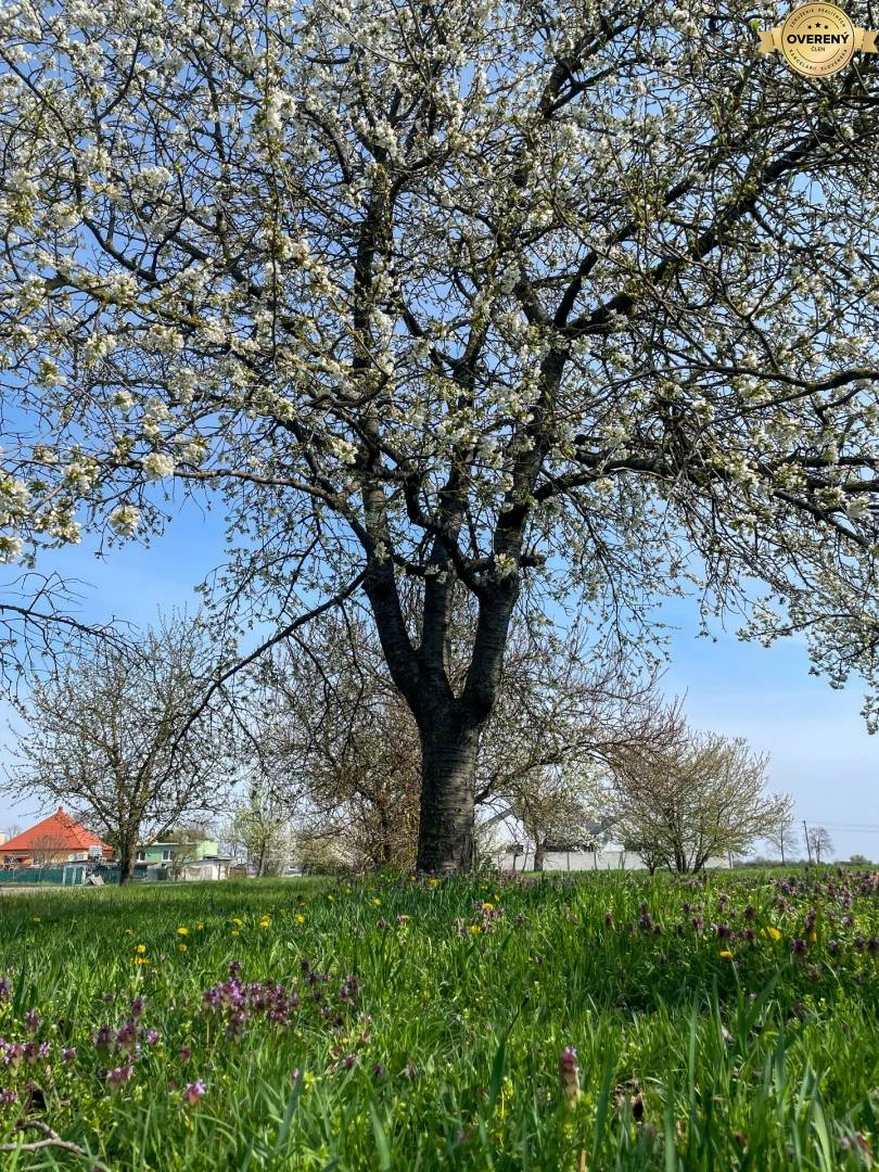 Parcela de 2564 m² en Dunajská Streda, Eslovaquia