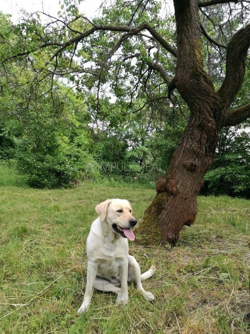 Land plot 1418 m² in Kosice, Slovakia