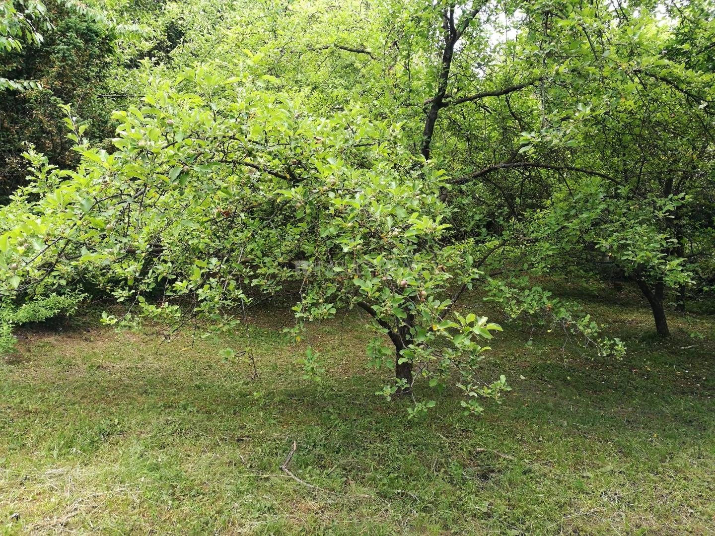 Land plot 1418 m² in Kosice, Slovakia