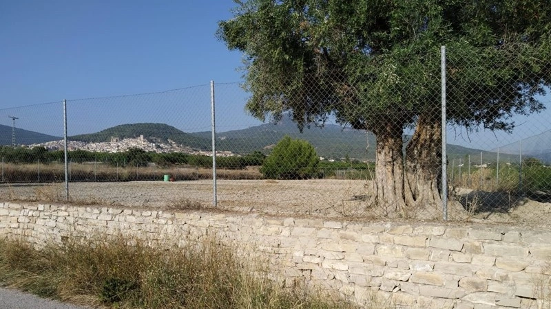 Plot of land 2 848 m² in Murcia, Spain