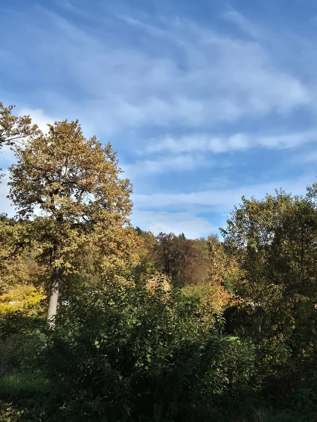 Terreno para construção de moradia em Liubliana, Eslovênia